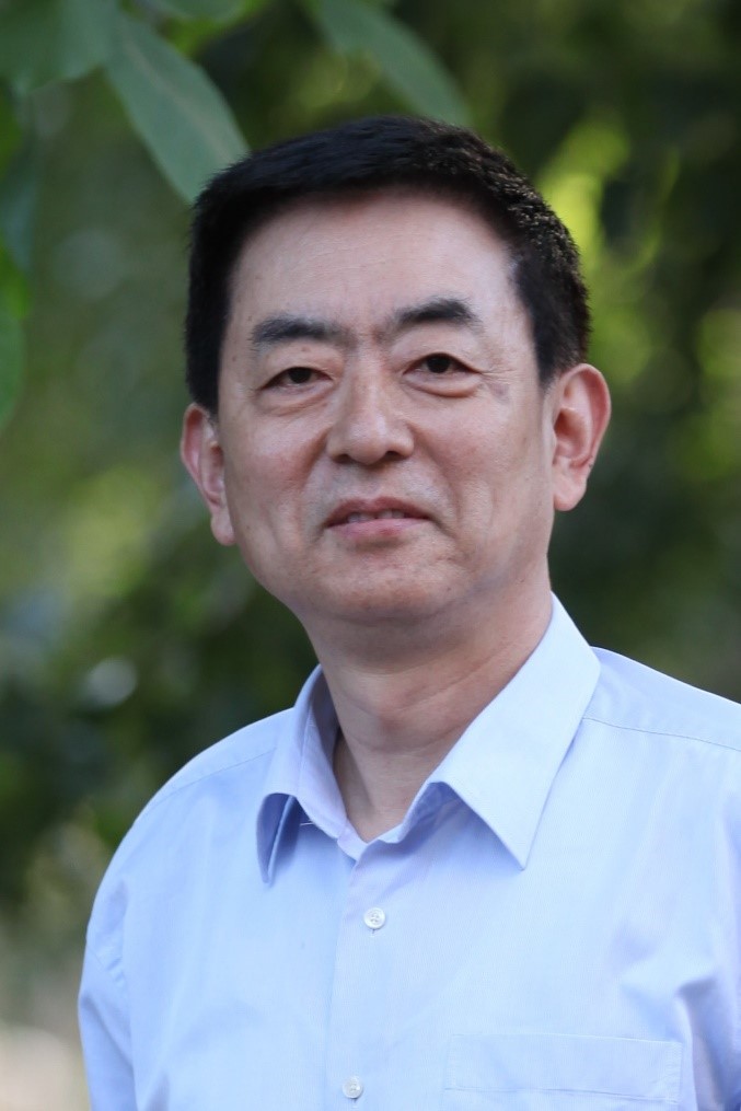 捕鱼大咖