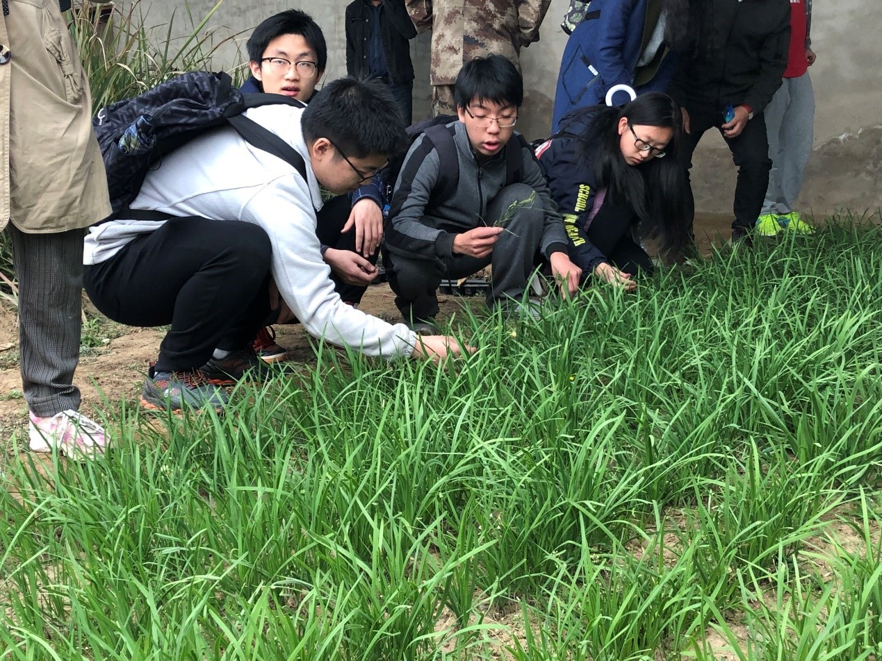 11.jpg 捕鱼大咖