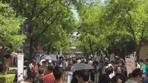 捕鱼大咖