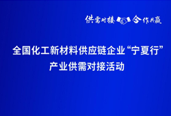 宁夏石嘴山化工新材料产品清单